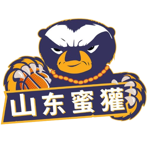 夏洛特黄蜂